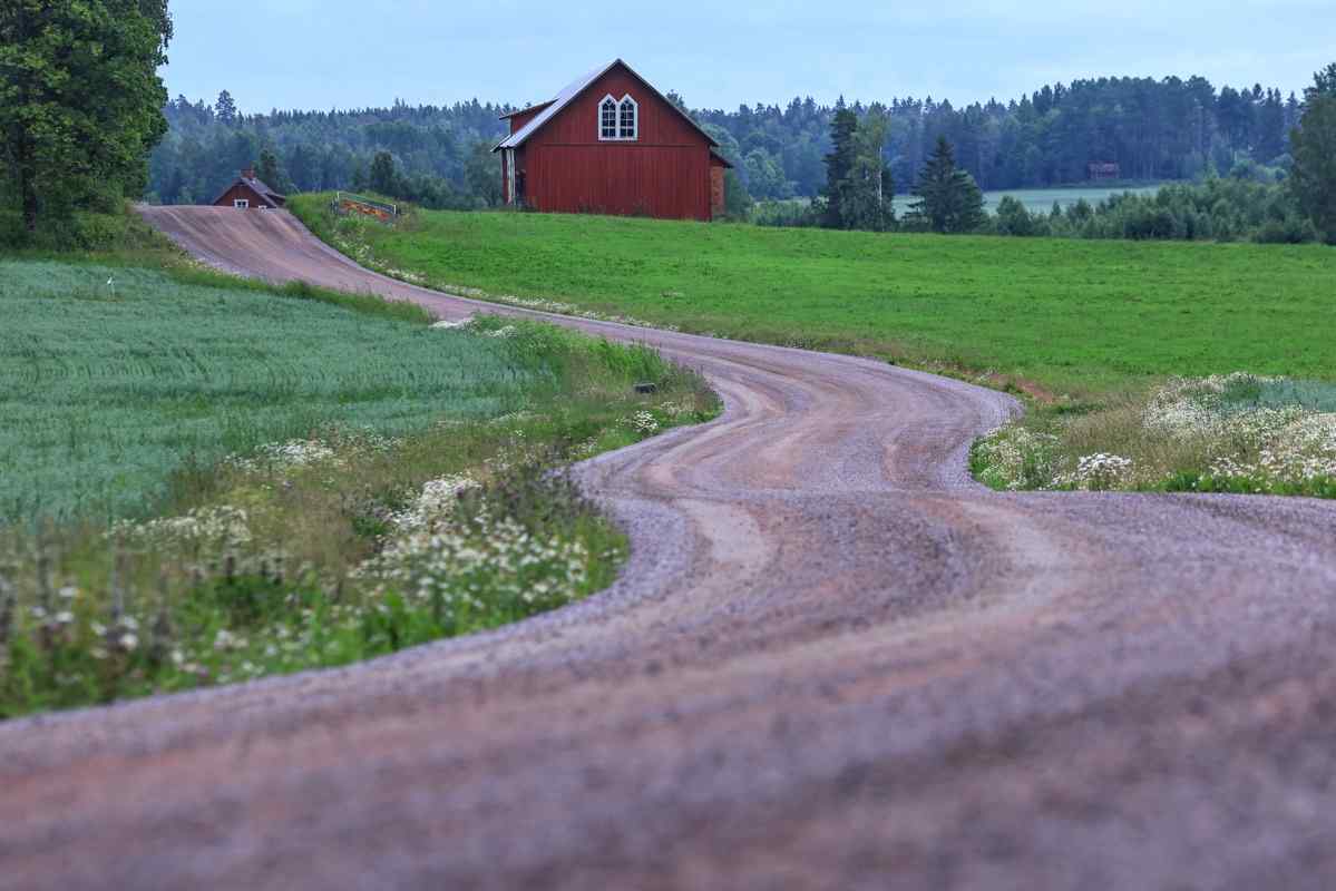 European national rally