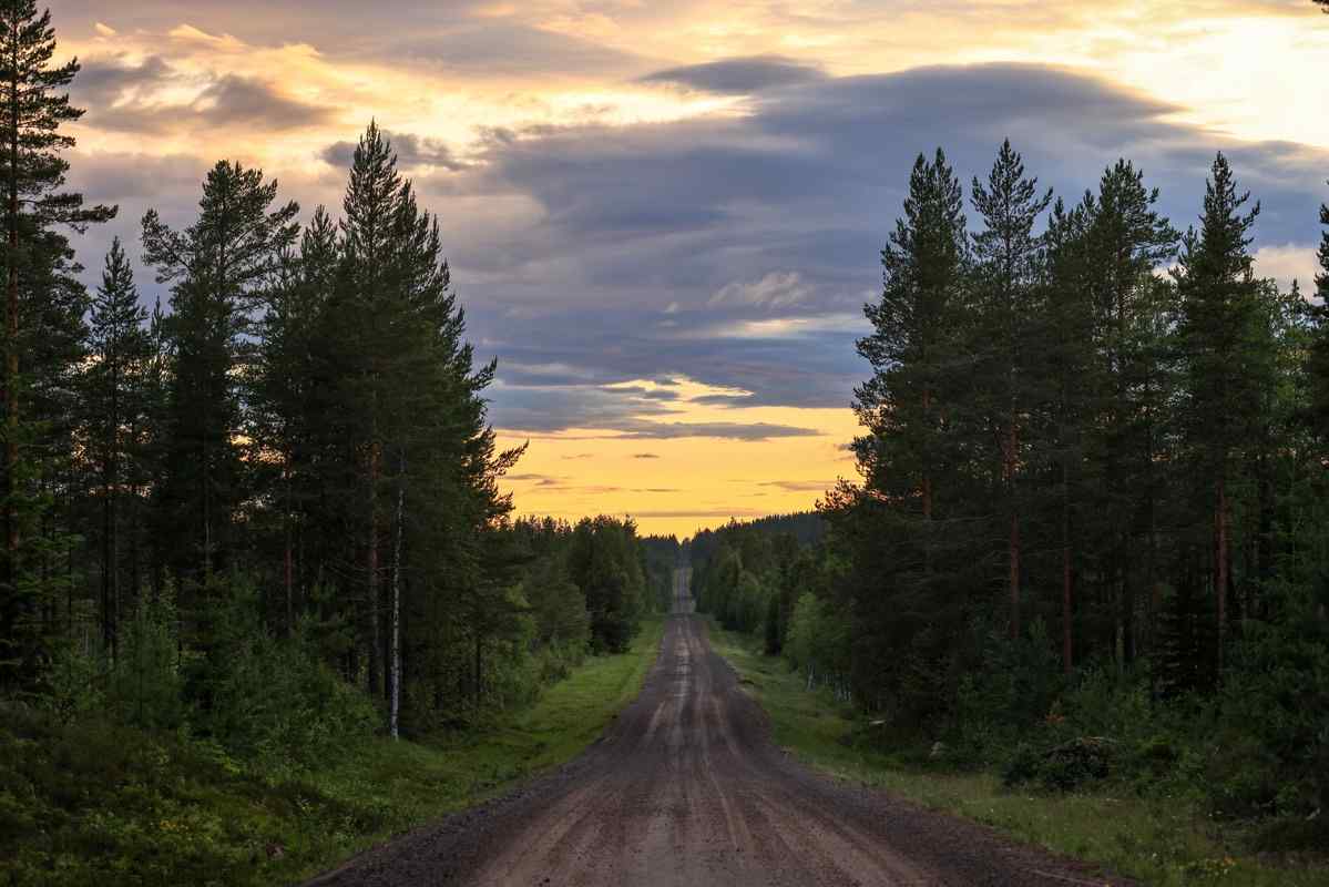 European national rally