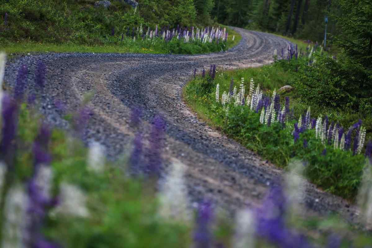 European national rally