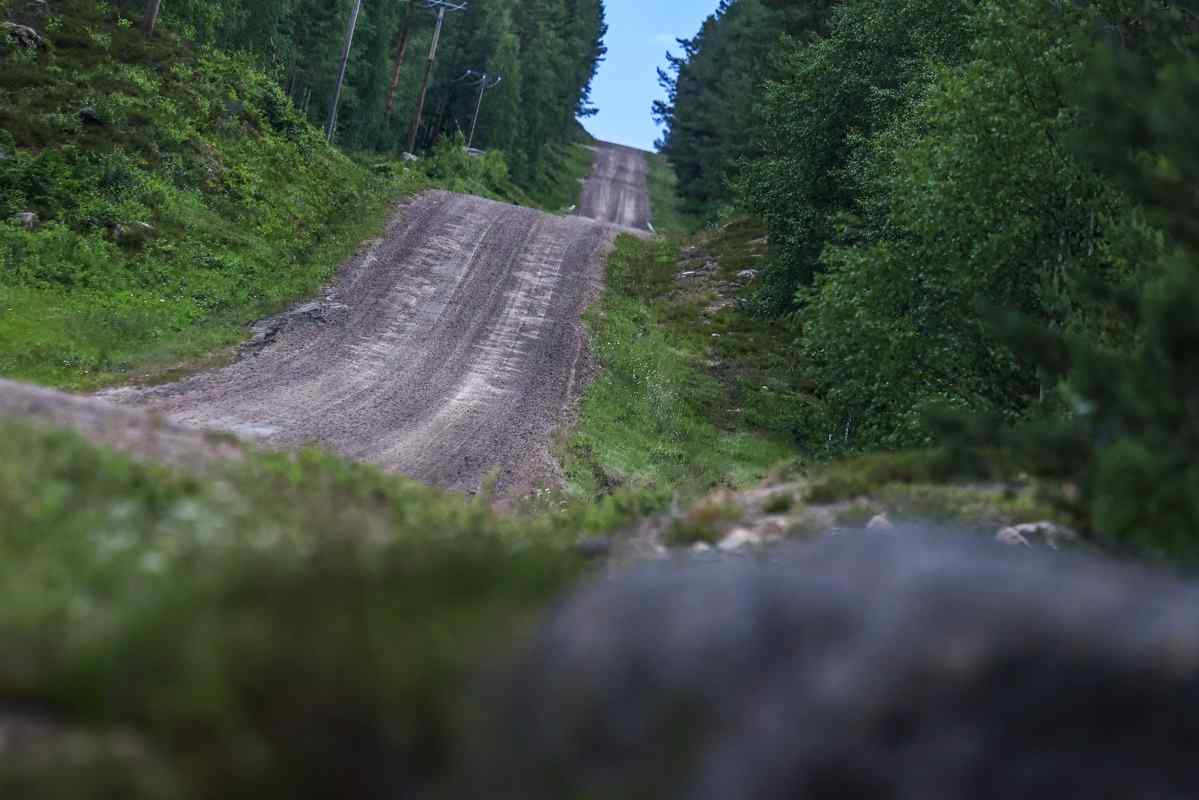 European national rally