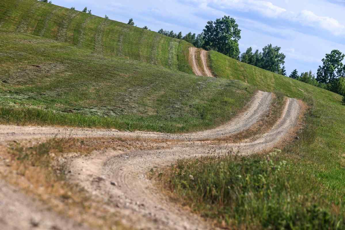 European national rally