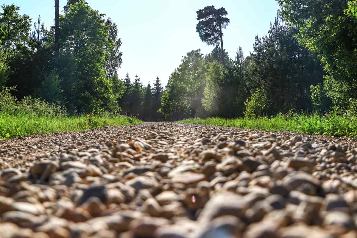European national rally