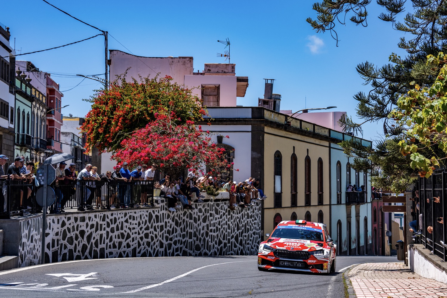European national rally