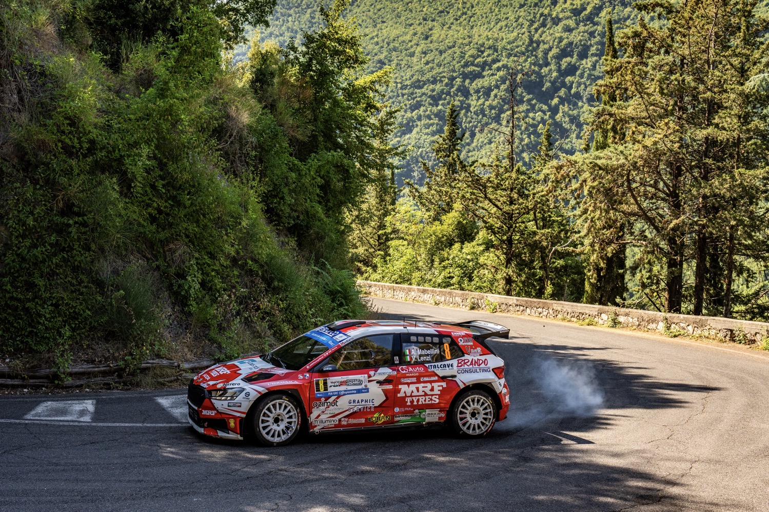 European national rally