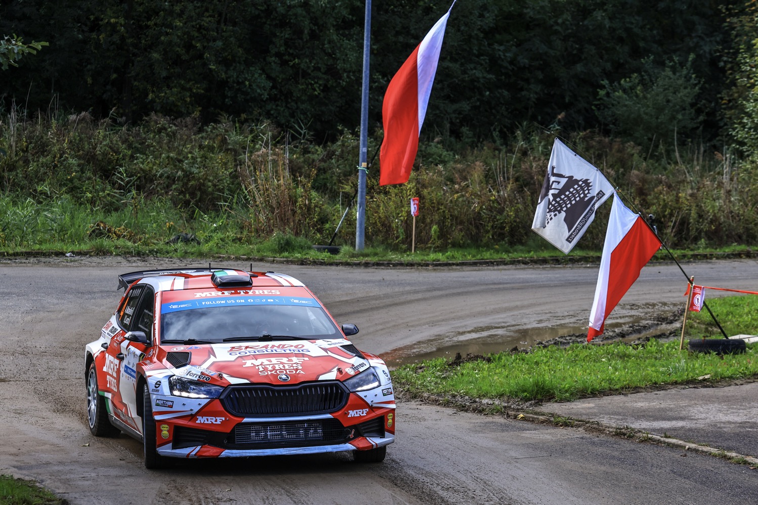 European national rally