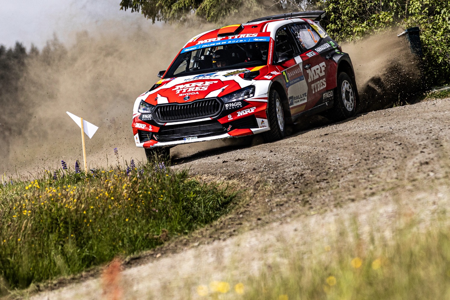 European national rally