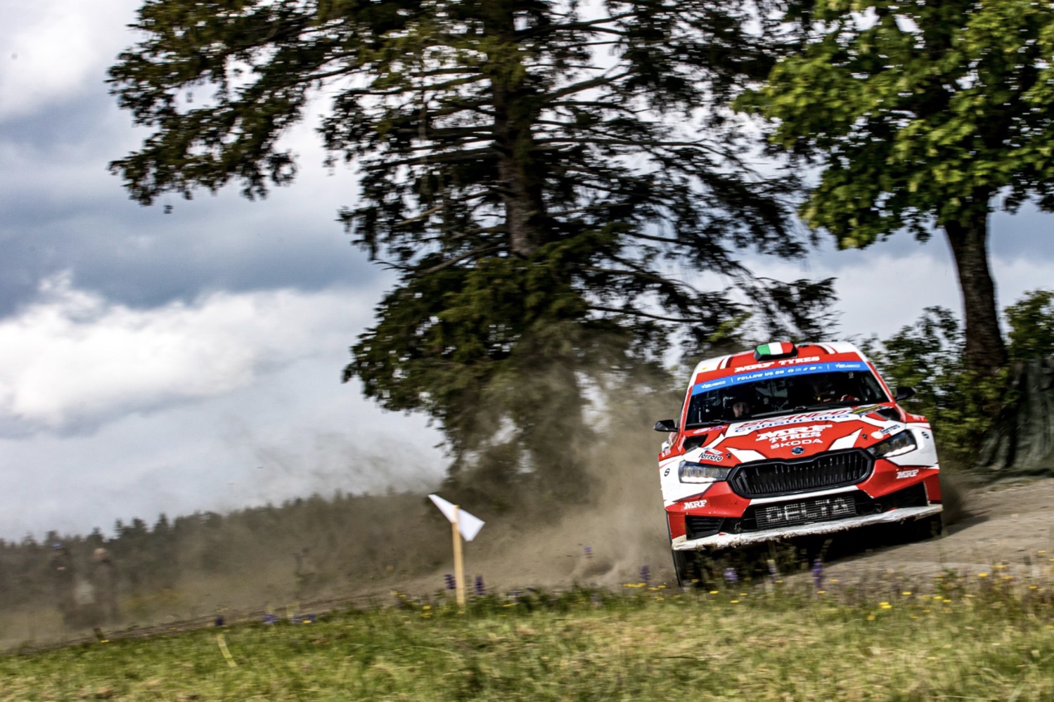 European national rally