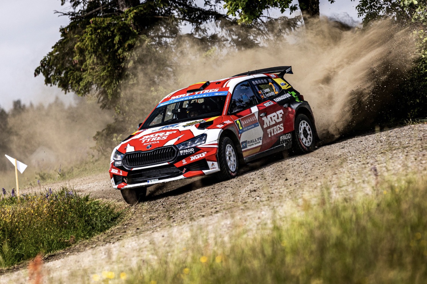 European national rally
