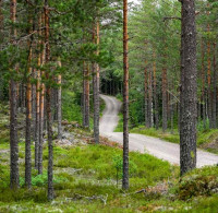 European Rally Championship 