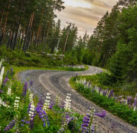 European Rally Championship 