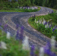 European Rally Championship 