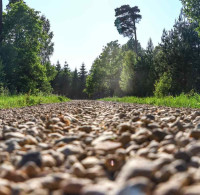 European Rally Championship 